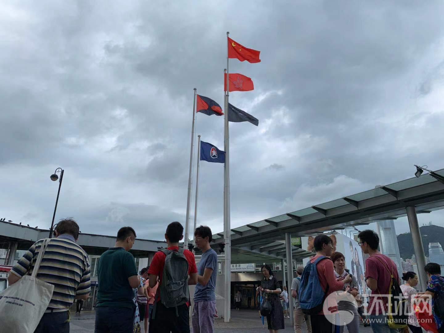 寻找火鸡