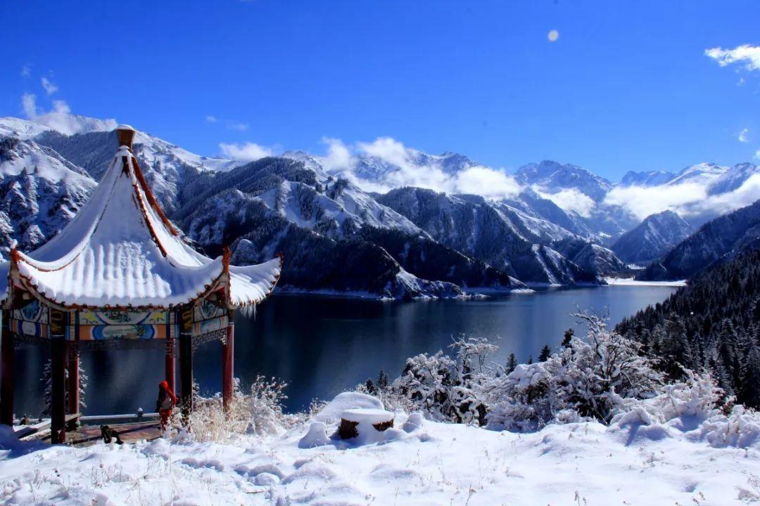 谋士贾诩被无数人痛骂，背后的原因是什么？游戏画面